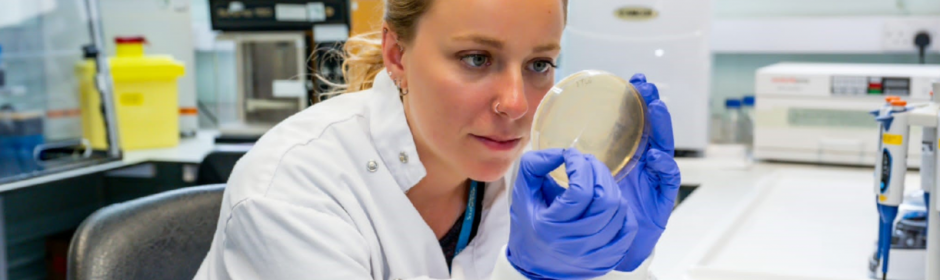 Scientists wearing gloves and lab coat looking at petri dish.