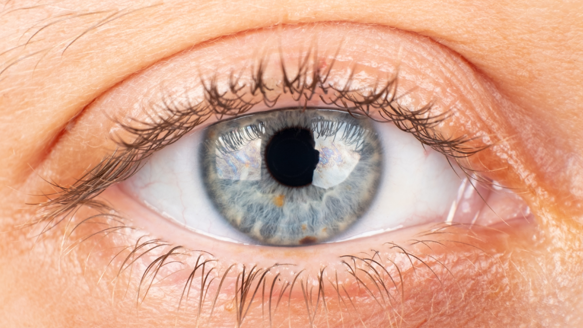 close up of eye 