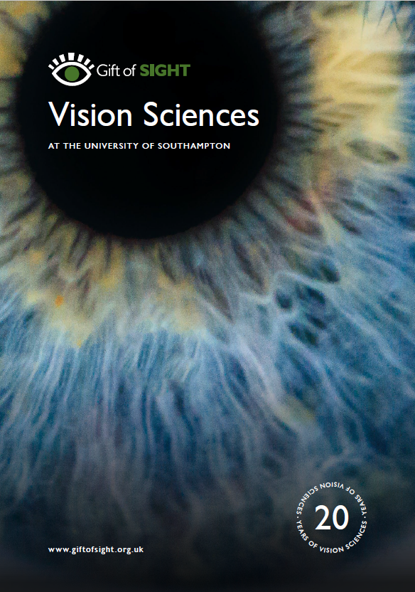 20 Years of Vision Science 