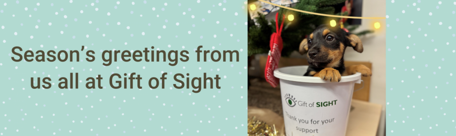 Christmas 2025 seasons greetings 