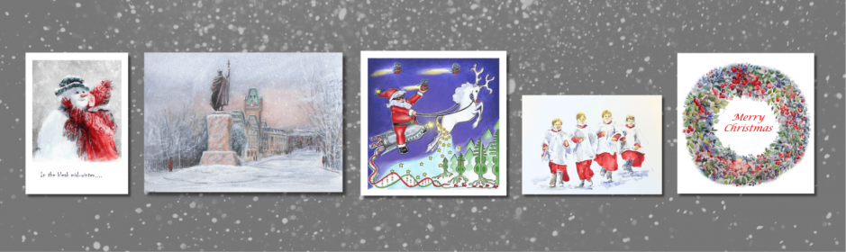 Christmas Cards on sale now 