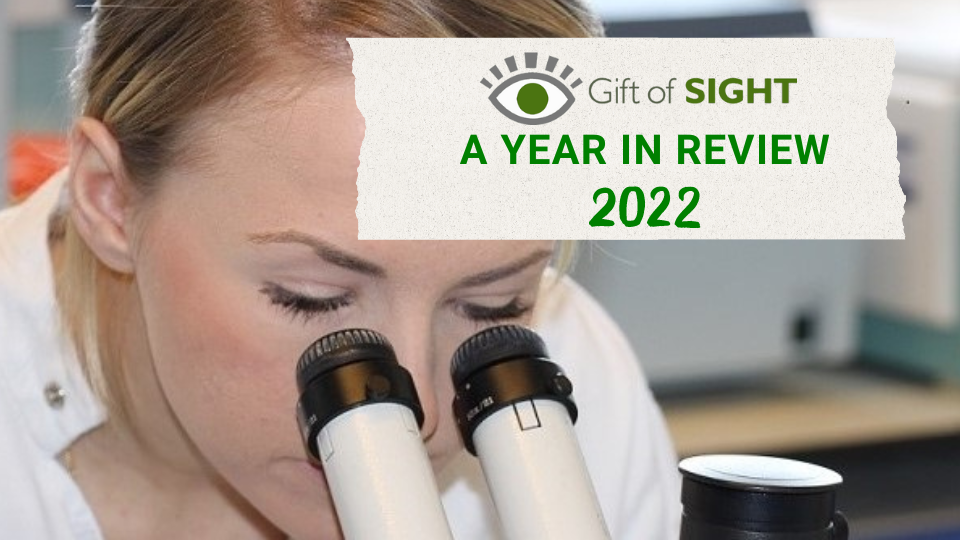 a_year_in_review_1160_x_400px_960_x_540px